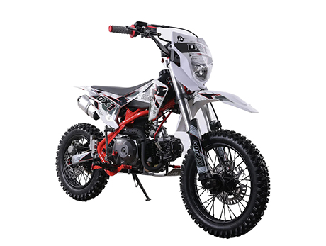 DX1 ��ͯԽҰ��