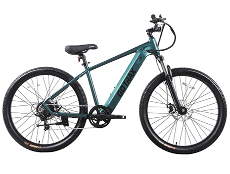 D1RT �綯ɽ�����г�