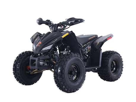DENAGO TRAILHAWK 10 FI ATV